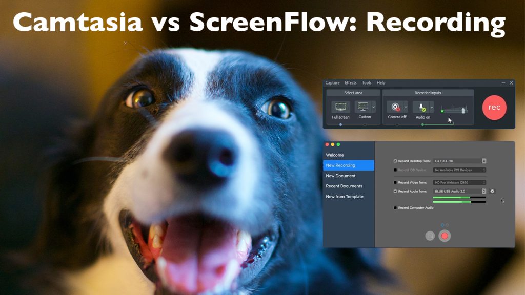 Phoebe the border collie looks at the recorders for Camtasia 2018 and ScreenFlow 8 with the text Camtasia vs ScreenFlow: Recording